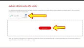 colorear-foto-004.webp
