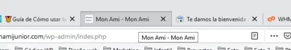 mon ami - mon ami.webp