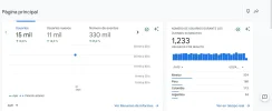 Proyecto nuevo (17).webp