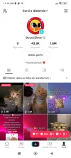 Screenshot_2023-09-17-11-16-17-309_com.zhiliaoapp.musically.webp
