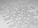 Text.webp
