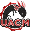 UACM SALAMANDRA.webp