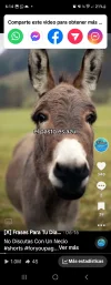 Screenshot_20231016_061400_TikTok.webp
