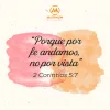 29.webp