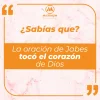 7.webp