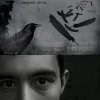 Cover.webp