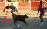 VAQUILLA.webp