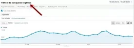 Busquedas Organicas.webp