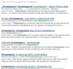 posicionamiento2.webp