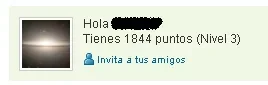 YR 01.webp