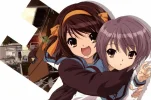 4.webp