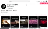 SCREENSHOT PERFIL.webp