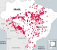 amazonia.webp