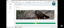 Screenshot_20231128_140343_YouTube.webp