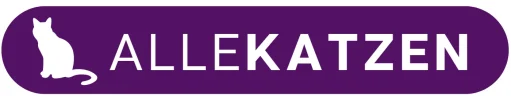1701396555130.webp