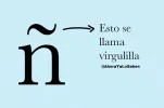 virgulilla.webp