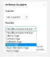 WordPress-Atributos-de-pagina.webp