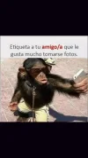 Screenshot_20190901-131728.webp