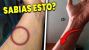 Curiosidades del cuerpo humano que no conocias.webp