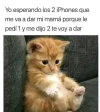 FB_IMG_1703598690947.webp