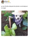 FB_IMG_1703590711006.webp
