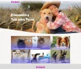 chrome-capture-2024-1-2 (1).webp