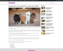 chrome-capture-2024-1-2 (2).webp