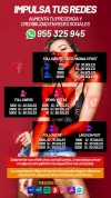 PUBLICIDAD FOLLOWERS.webp