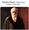 dalranfslelsclcl.webp