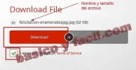 descargar-archivos-mega1.webp