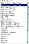 web server.webp