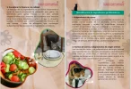 Screenshot_166.webp