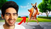 PERRO QUE BAILA.webp