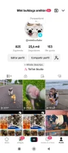 Screenshot_2024-06-05-13-29-56-534_com.zhiliaoapp.musically.webp