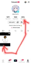 Screenshot_20240622_000205_TikTok.webp