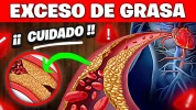 EXCESO DE GRASA EN LA SANGRE.webp