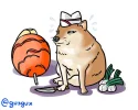 images (11).webp