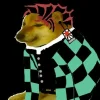 jOqozUcr_400x400.webp