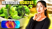 2da-version-brocoli-v.webp