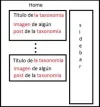 taxonomías.webp