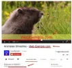 video promocionando web.webp