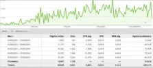 adsense ensual.webp