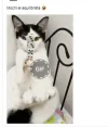 infra.webp