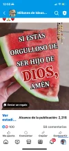 IMG_4236.webp