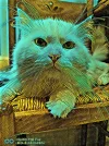 IMG_Donuts_20191025_142657_processed.webp