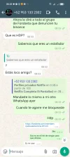 Screenshot_20241106_083817_com_whatsapp_w4b_Conversation.webp