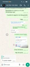 Screenshot_20241106_083821_com_whatsapp_w4b_Conversation.webp