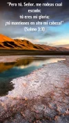5.webp