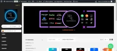 Captura de pantalla 2024-11-17 145533.webp