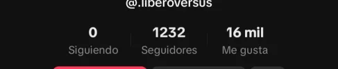 Screenshot_20241129-223855_TikTok.webp